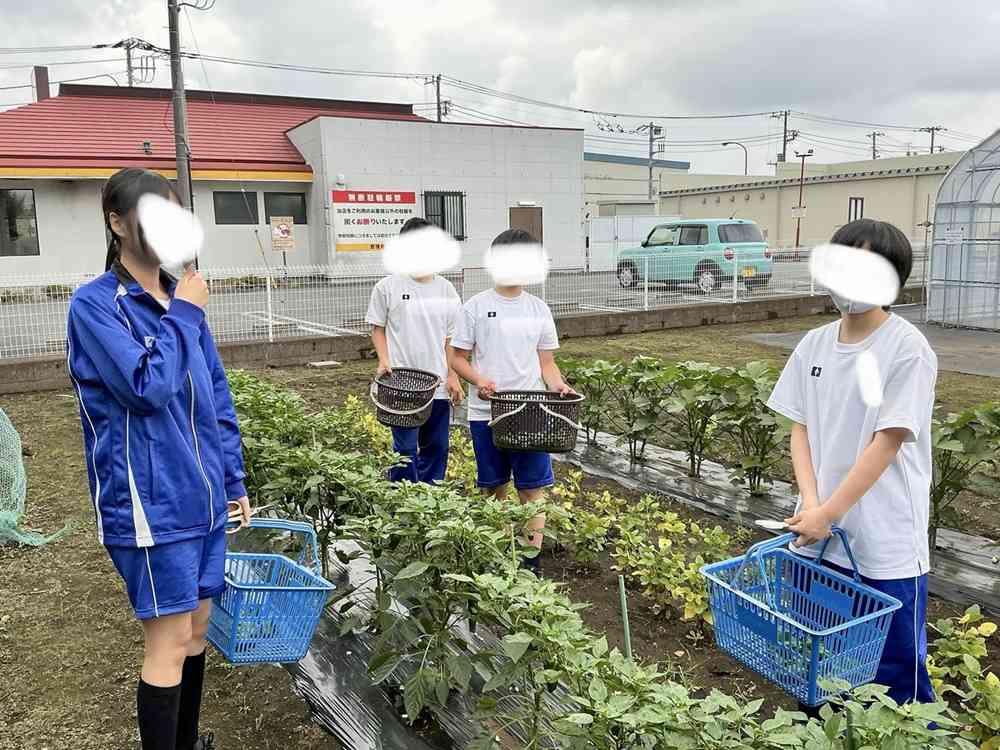 職場体験
